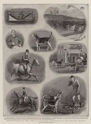 ラトランド公爵のベルボア猟犬の名作の回想録